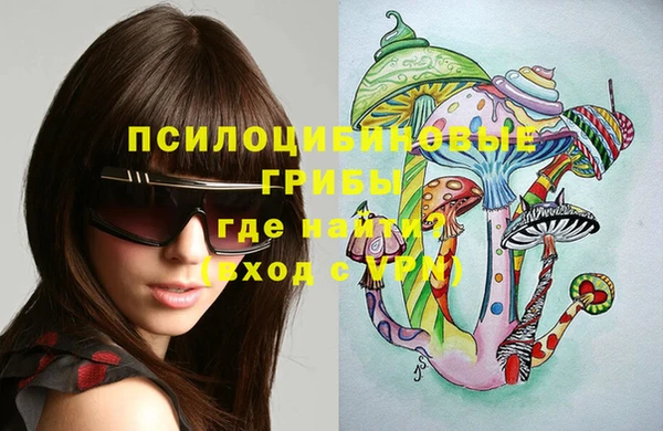 мескалин Заводоуковск