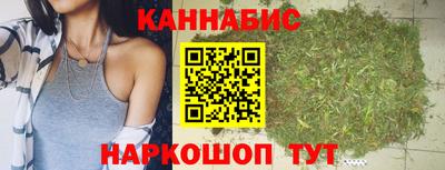 сатива Краснодар