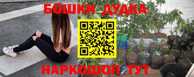 сатива Краснодар