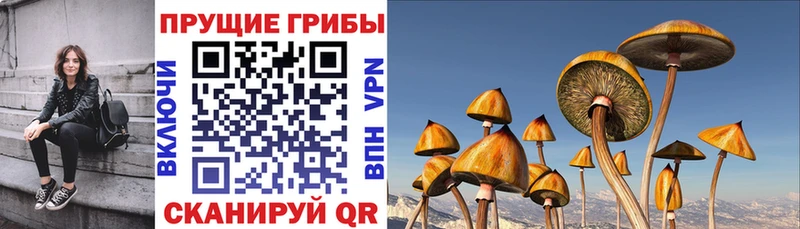 Псилоцибиновые грибы Magic Shrooms  Кемерово 