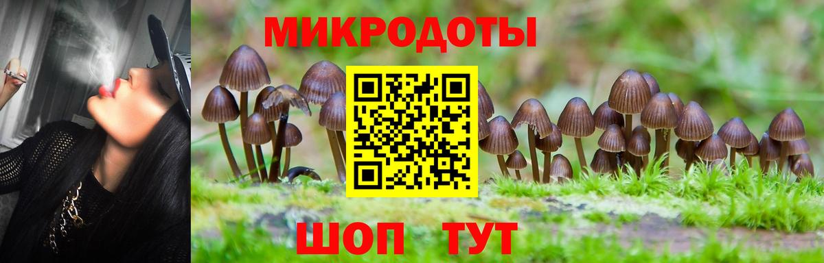 Галлюциногенные грибы MAGIC MUSHROOMS  Вход с VPN  Кемерово 