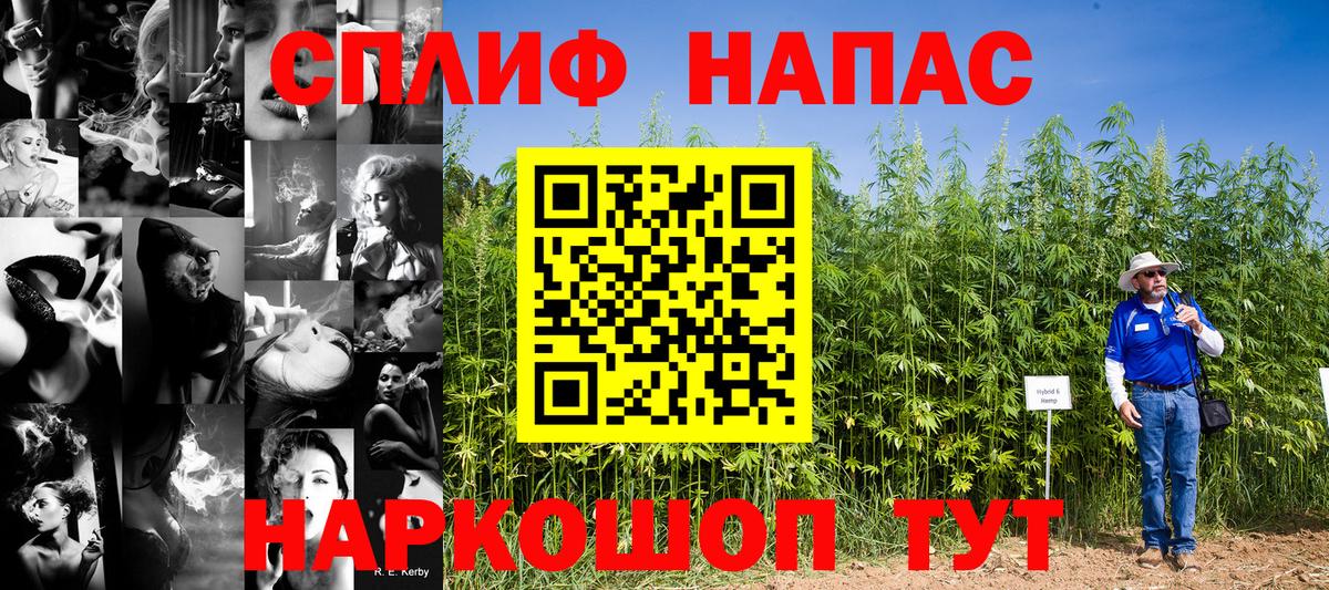 Галлюциногенные грибы Кемерово